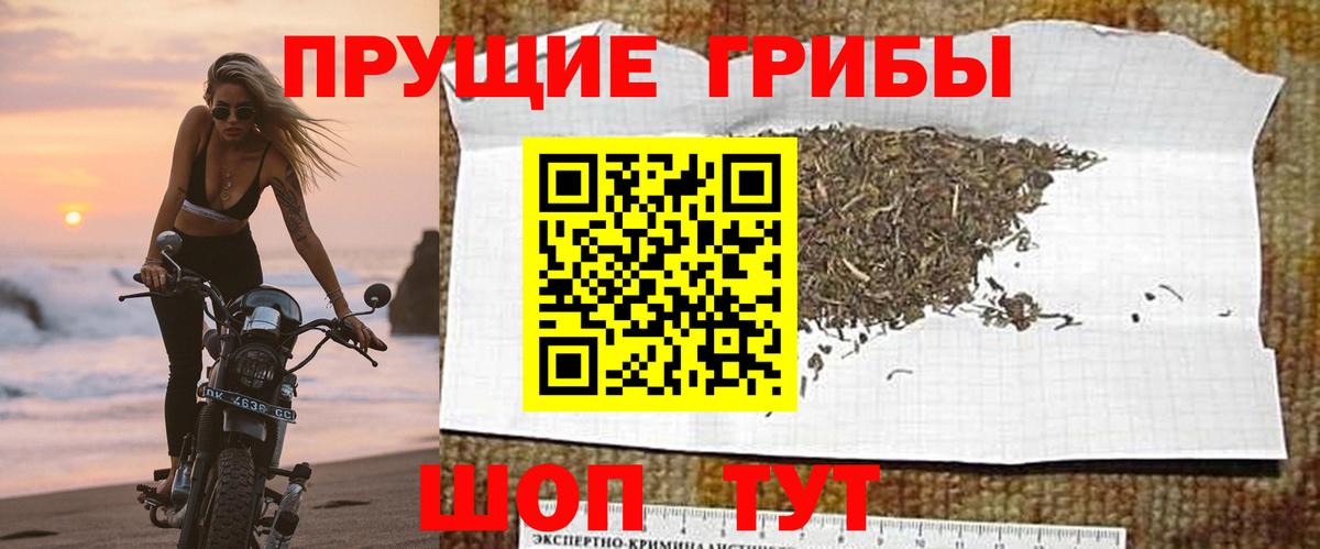 Галлюциногенные грибы прущие грибы  Вход с VPN  Лосино-Петровский 
